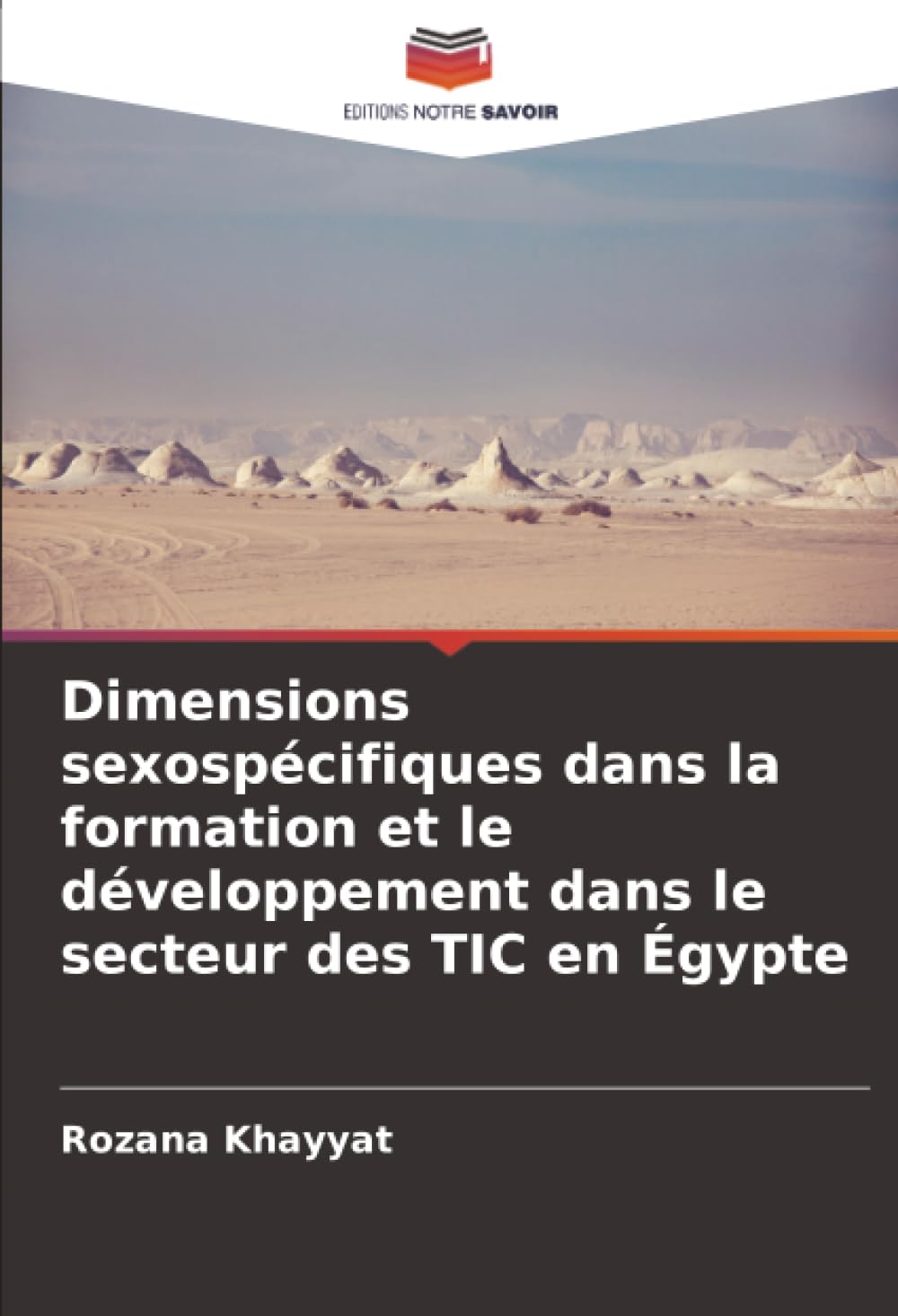 Dimensions sexospécifiques dans la formation et le développement dans le secteur des TIC en Égypte Books
