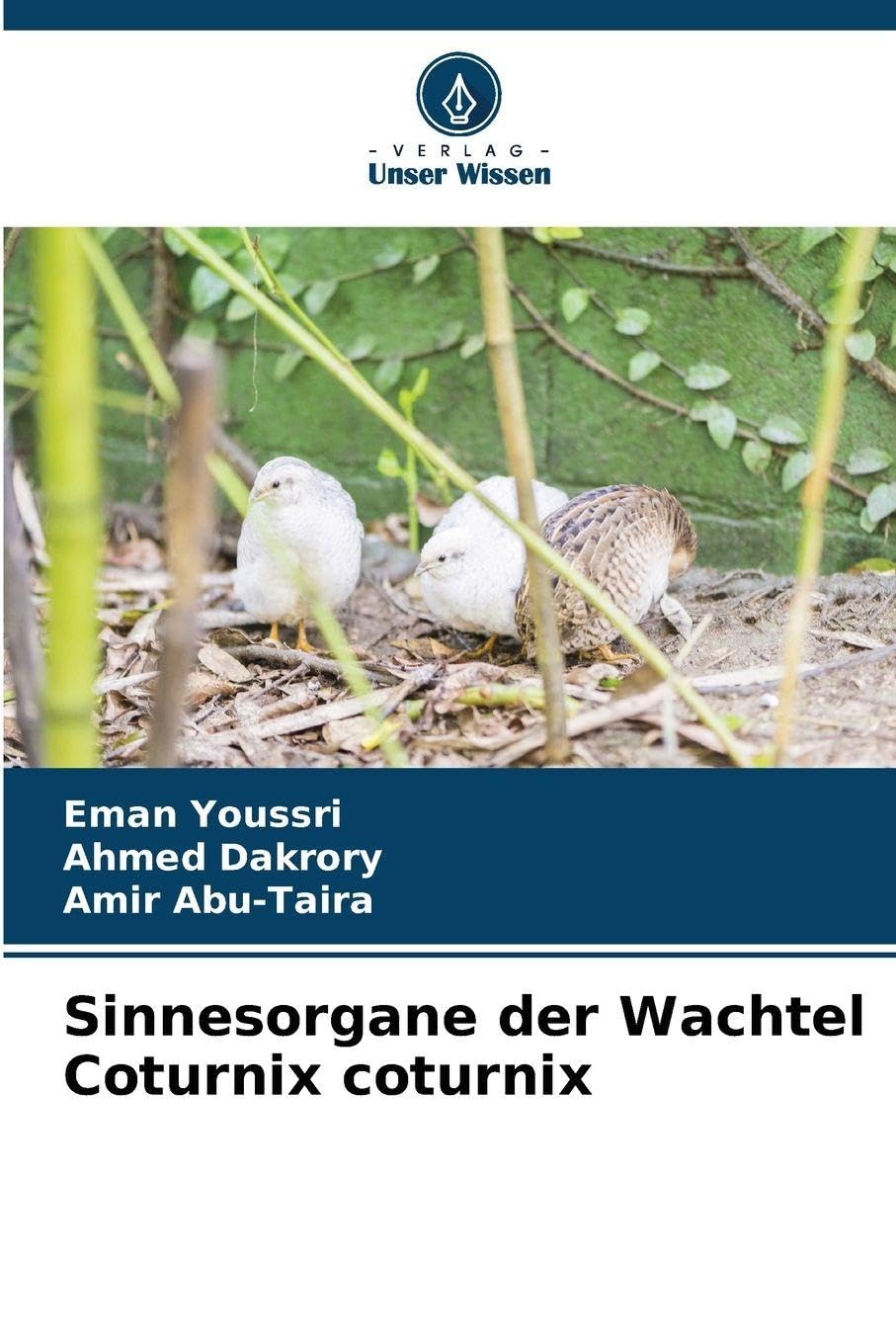Sinnesorgane der Wachtel Coturnix coturnix Natural Sciences