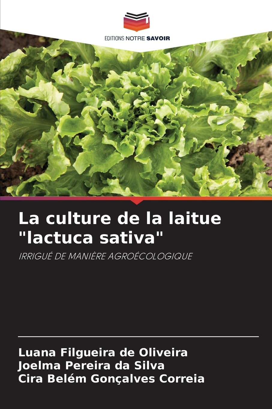 La culture de la laitue "lactuca sativa" Law