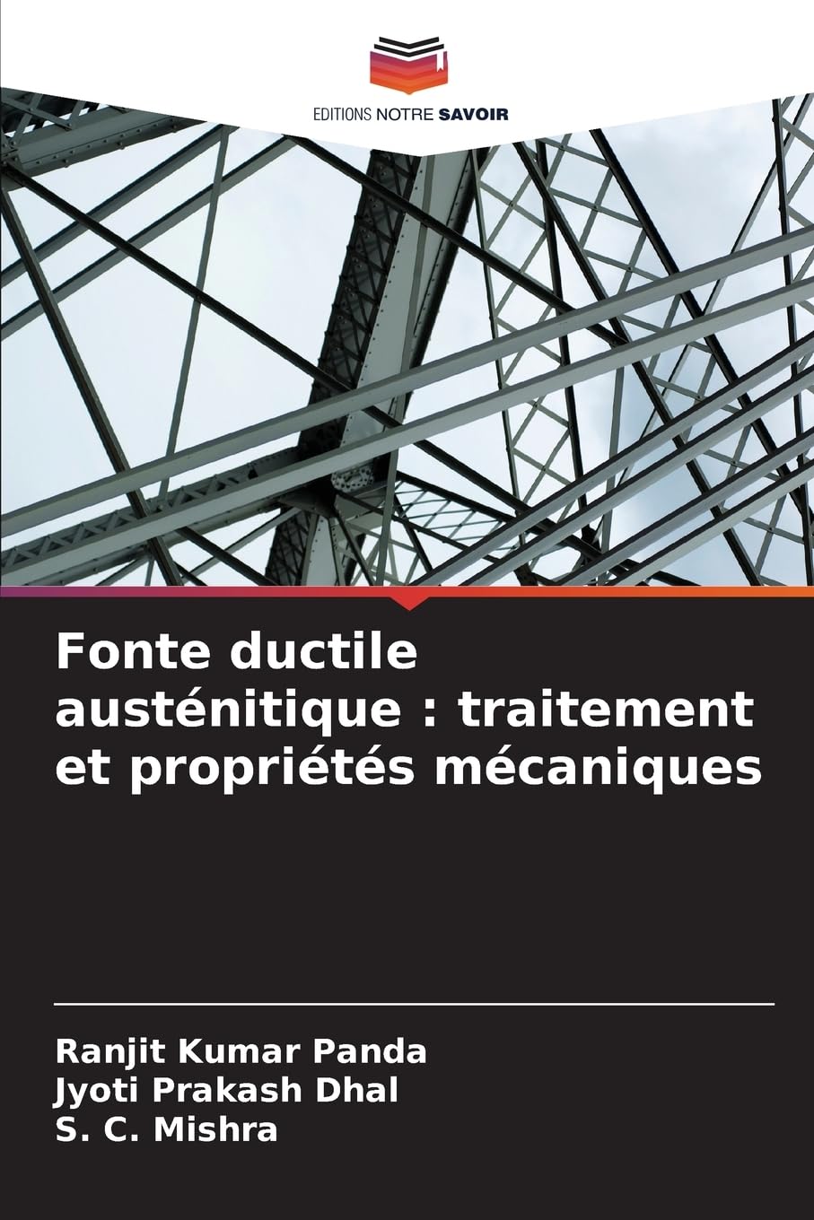Fonte ductile austénitique : traitement et propriétés mécaniques Business & Technology