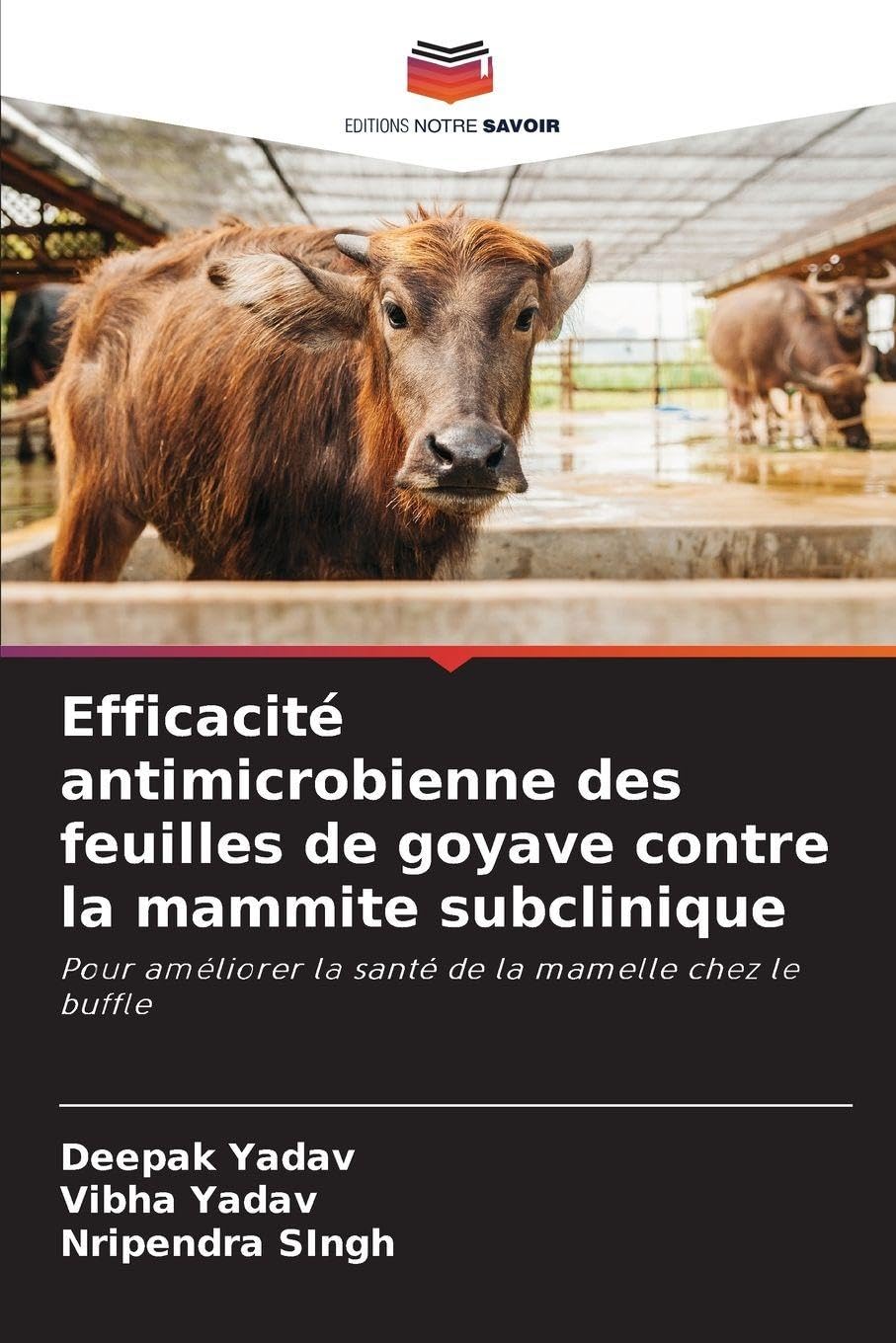 Efficacité antimicrobienne des feuilles de goyave contre la mammite subclinique Medicine
