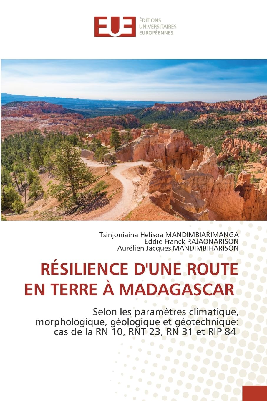 RÉSILIENCE D'UNE ROUTE EN TERRE À MADAGASCAR Business & Technology