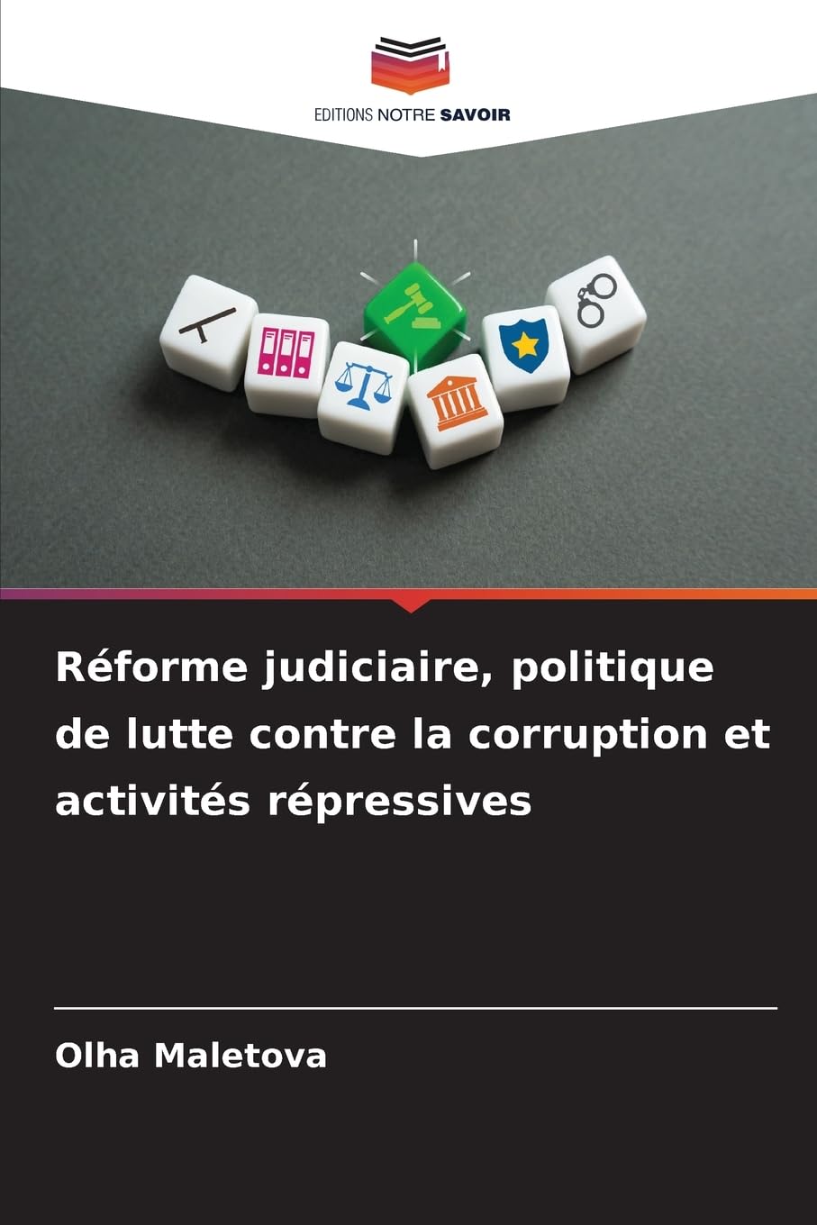 Réforme judiciaire, politique de lutte contre la corruption et activités répressives Law