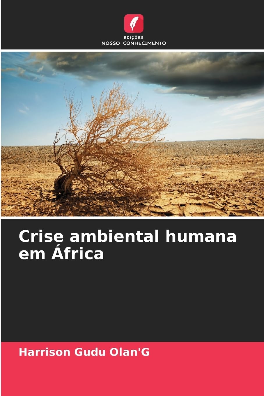 Crise ambiental humana em África Books