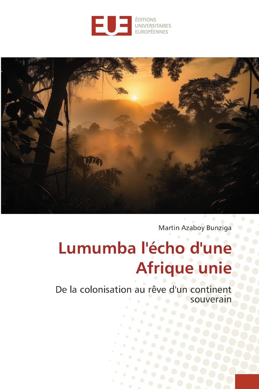 Lumumba l'écho d'une Afrique unie Law
