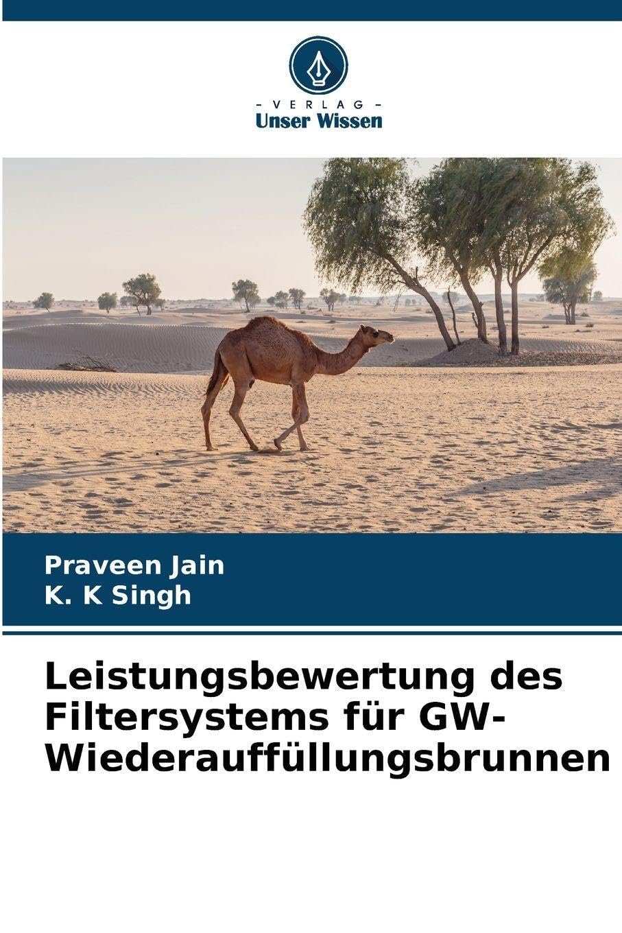 Leistungsbewertung des Filtersystems für GW-Wiederauffüllungsbrunnen Business, Finance & Career