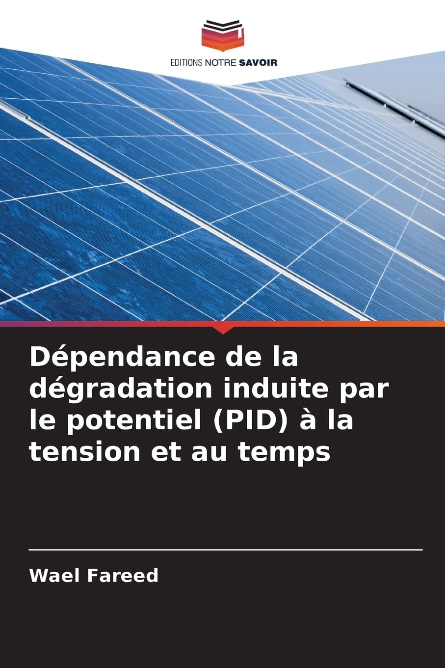 Dépendance de la dégradation induite par le potentiel (PID) à la tension et au temps Books