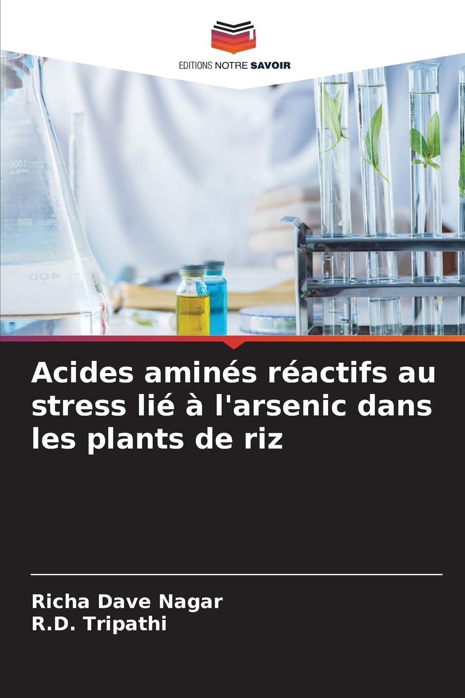 Acides aminés réactifs au stress lié à l'arsenic dans les plants de riz Natural Sciences