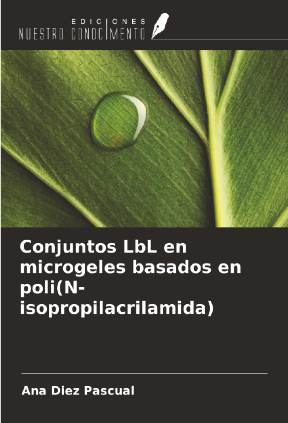 Conjuntos LbL en microgeles basados en poli(N-isopropilacrilamida) Natural Sciences