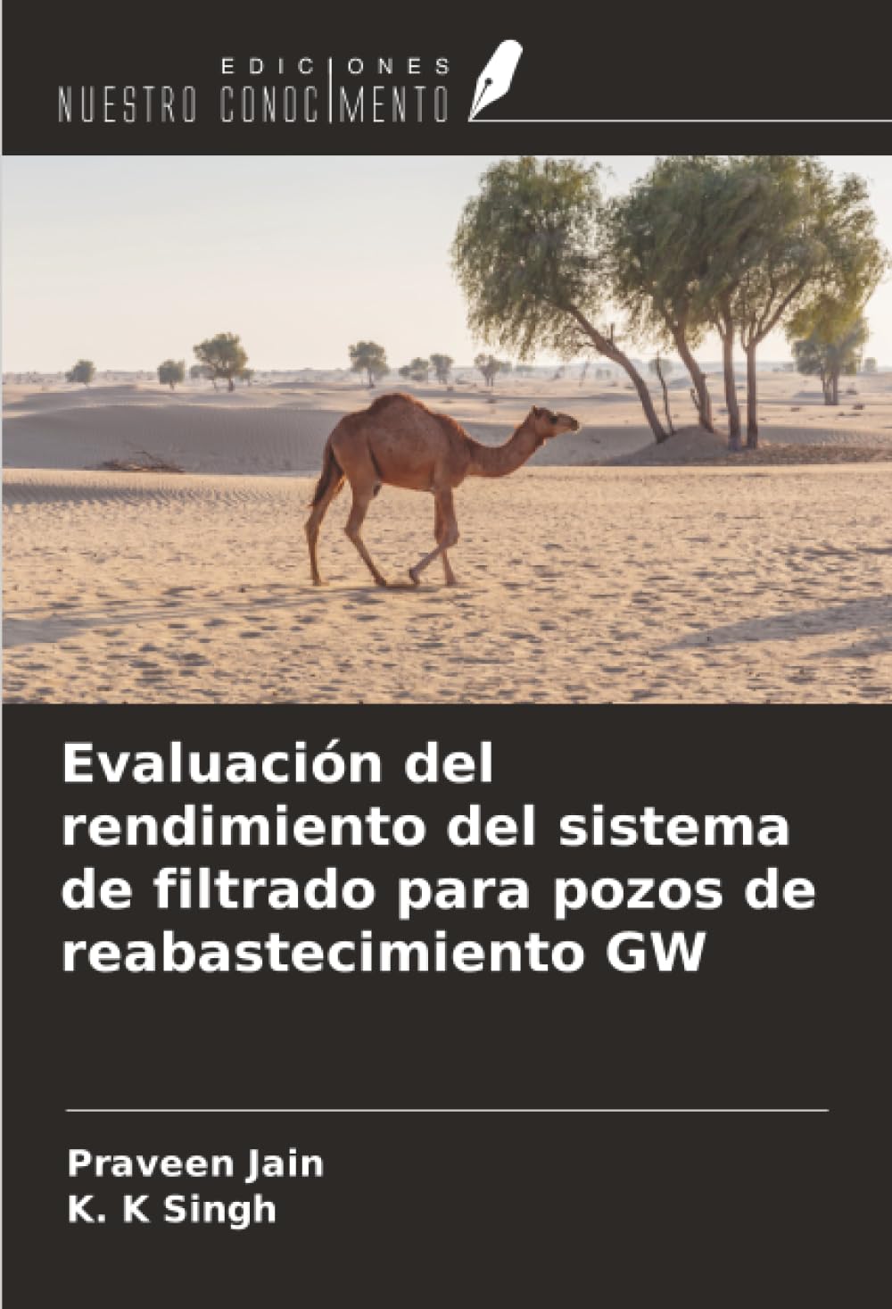 Evaluación del rendimiento del sistema de filtrado para pozos de reabastecimiento GW Business, Finance & Career