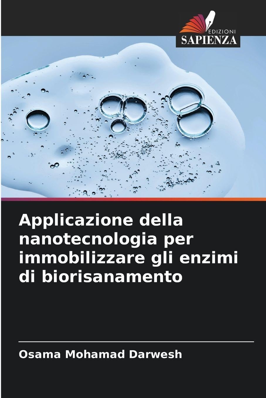 Applicazione della nanotecnologia per immobilizzare gli enzimi di biorisanamento Natural Sciences