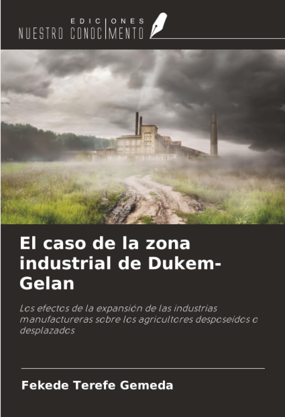 El caso de la zona industrial de Dukem-Gelan Law