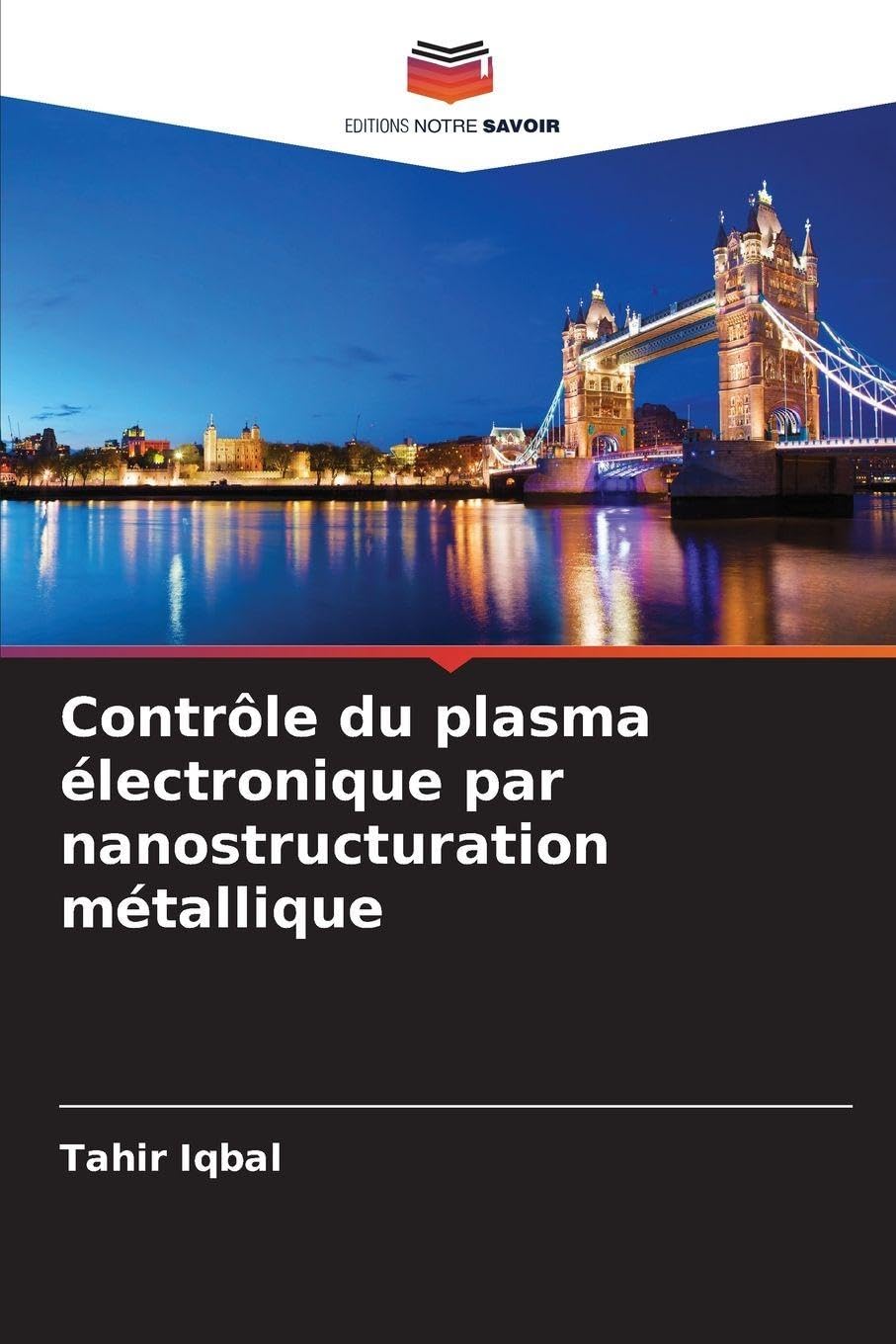 Contrôle du plasma électronique par nanostructuration métallique Natural Sciences