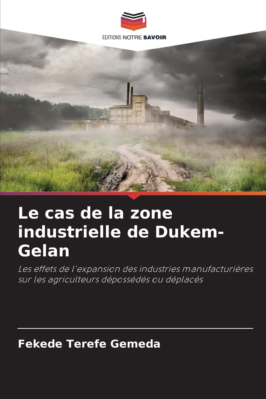 Le cas de la zone industrielle de Dukem-Gelan Law