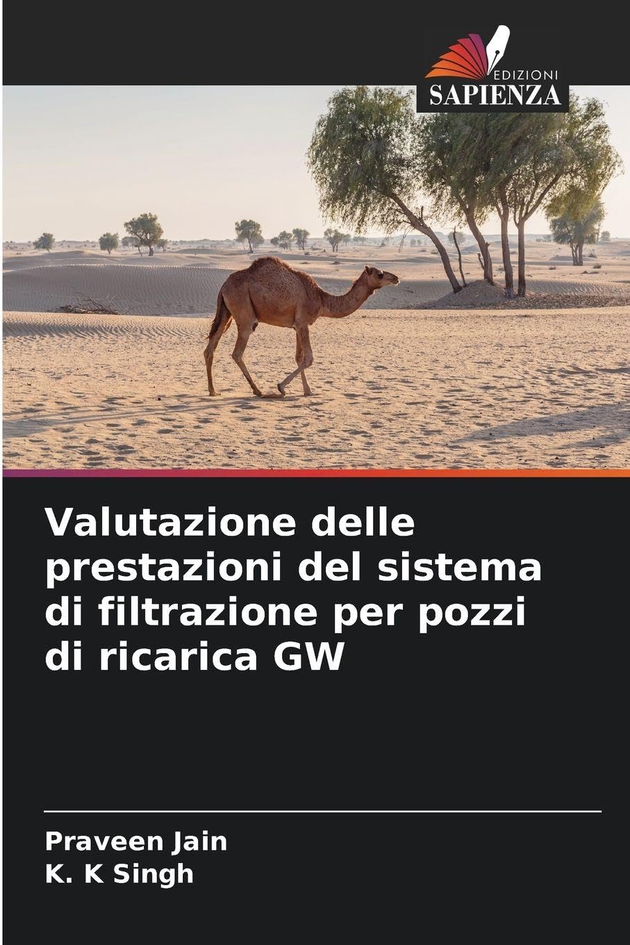 Valutazione delle prestazioni del sistema di filtrazione per pozzi di ricarica GW Business, Finance & Career