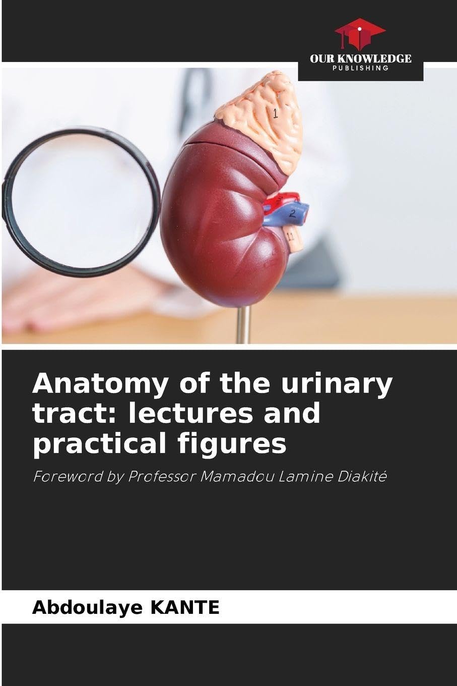 Anatomy of the urinary tract: lectures and practical figures Medicine