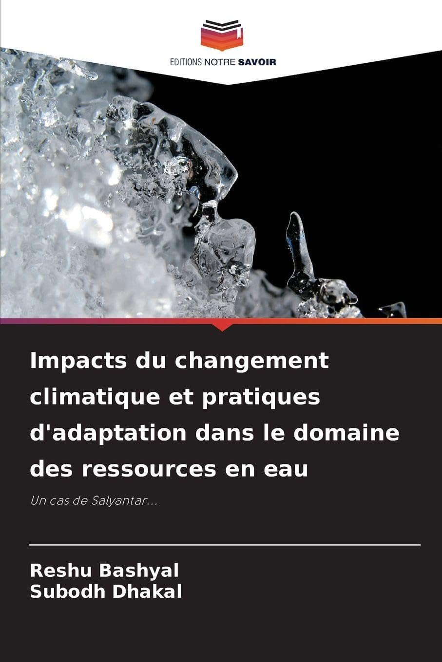 Impacts du changement climatique et pratiques d'adaptation dans le domaine des ressources en eau Business & Technology