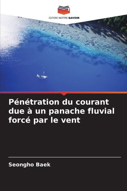 Pénétration du courant due à un panache fluvial forcé par le vent Business & Technology