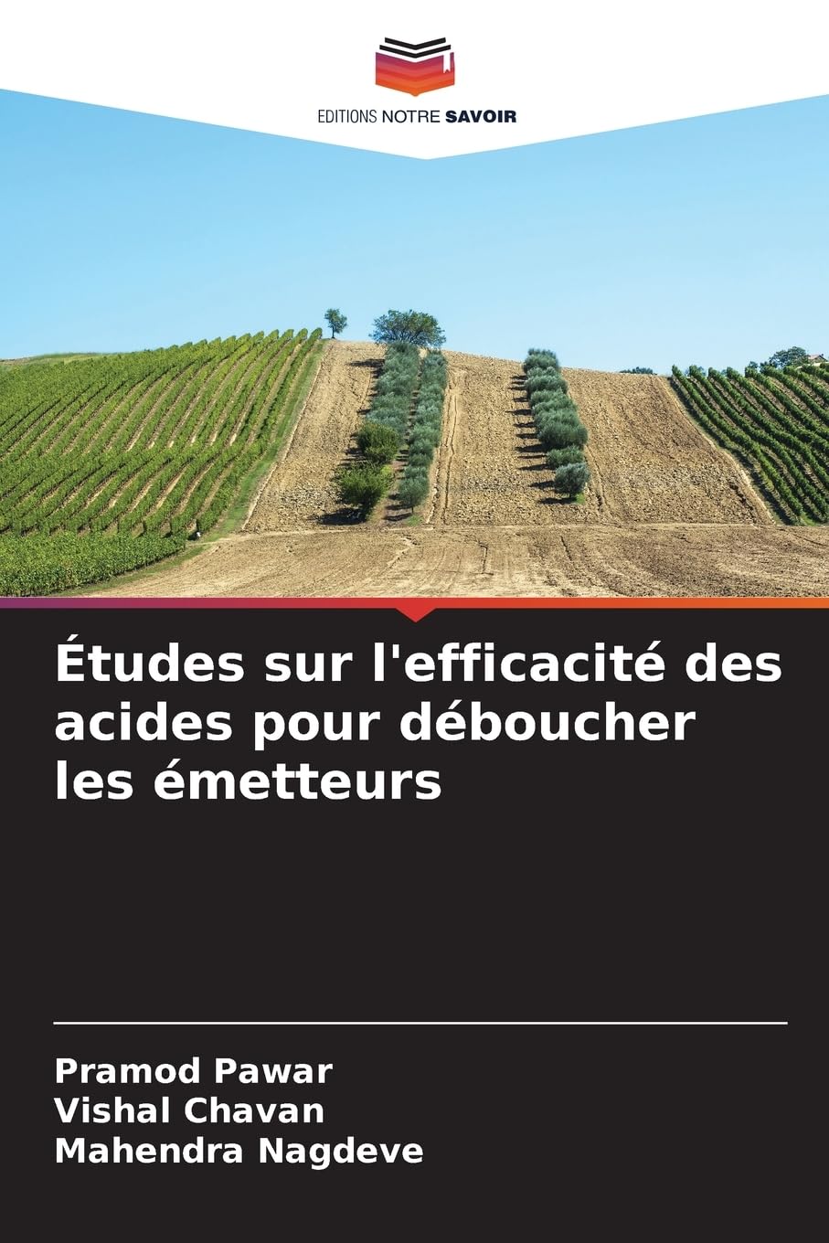 Études sur l'efficacité des acides pour déboucher les émetteurs Natural Sciences