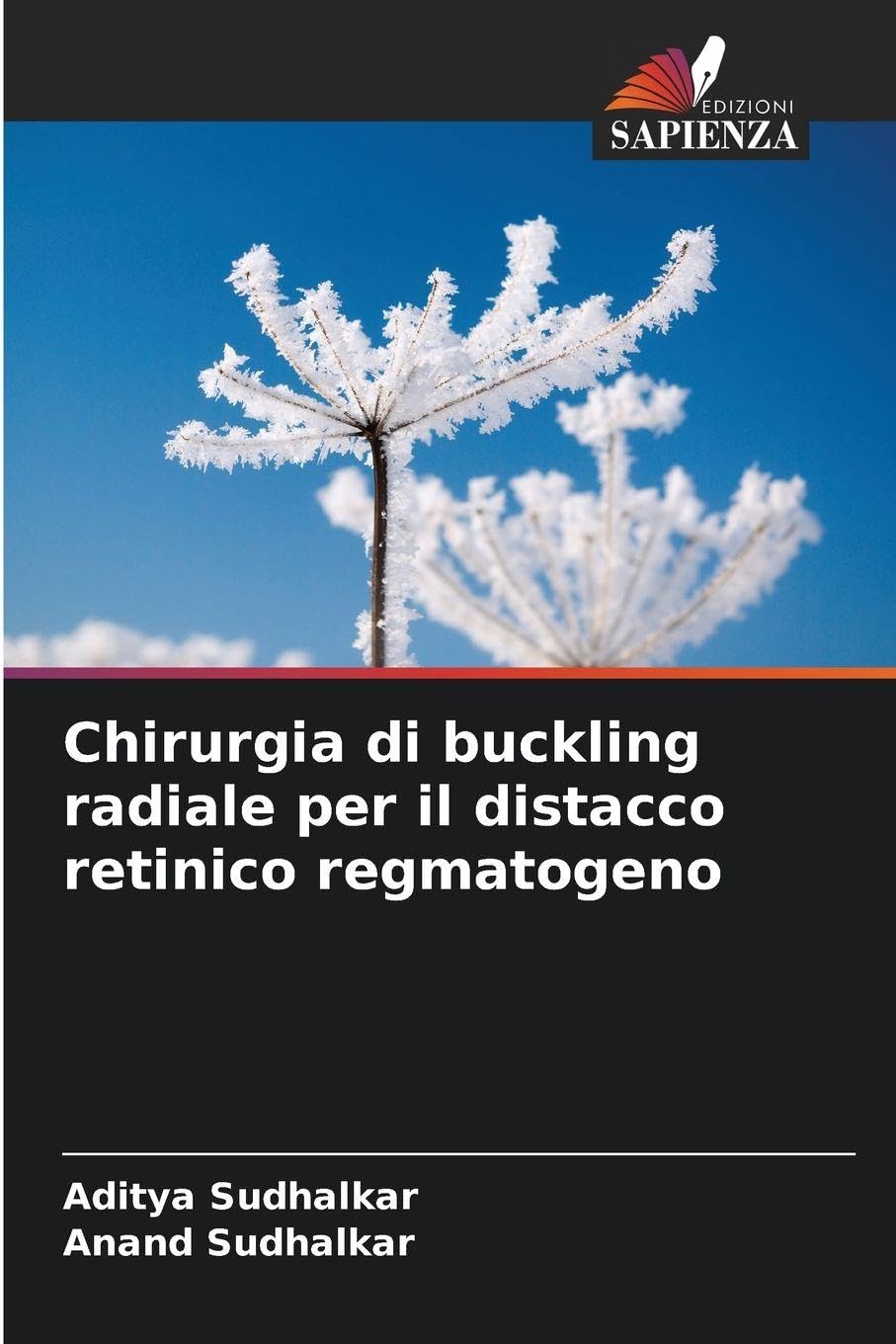 Chirurgia di buckling radiale per il distacco retinico regmatogeno Law