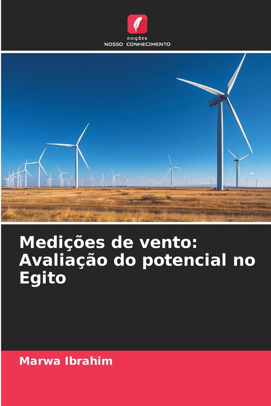 Medições de vento: Avaliação do potencial no Egito Business & Technology
