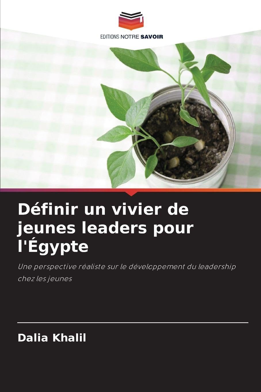 Définir un vivier de jeunes leaders pour l'Égypte Business, Finance & Career