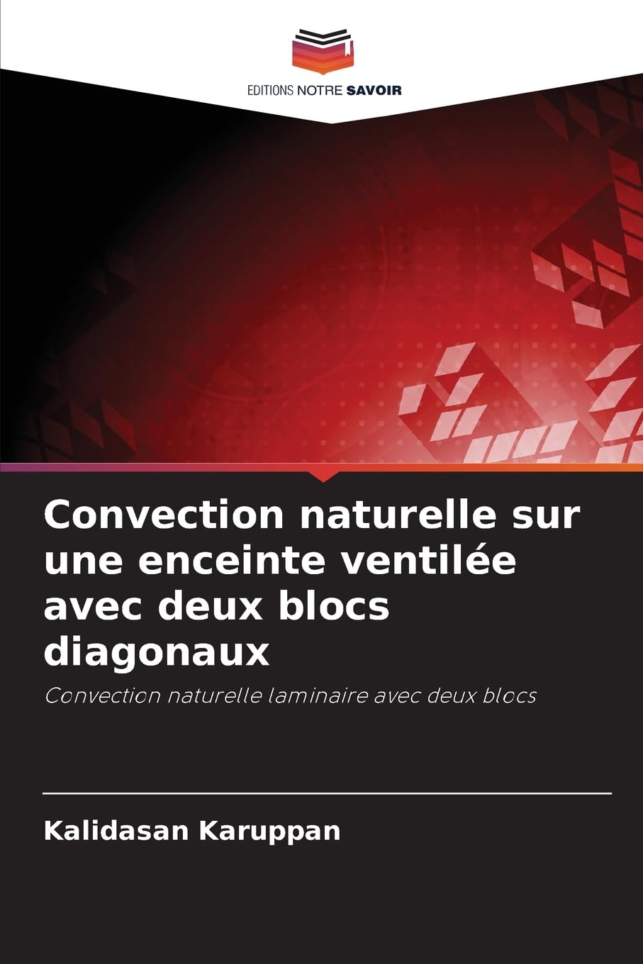 Convection naturelle sur une enceinte ventilée avec deux blocs diagonaux Business & Technology