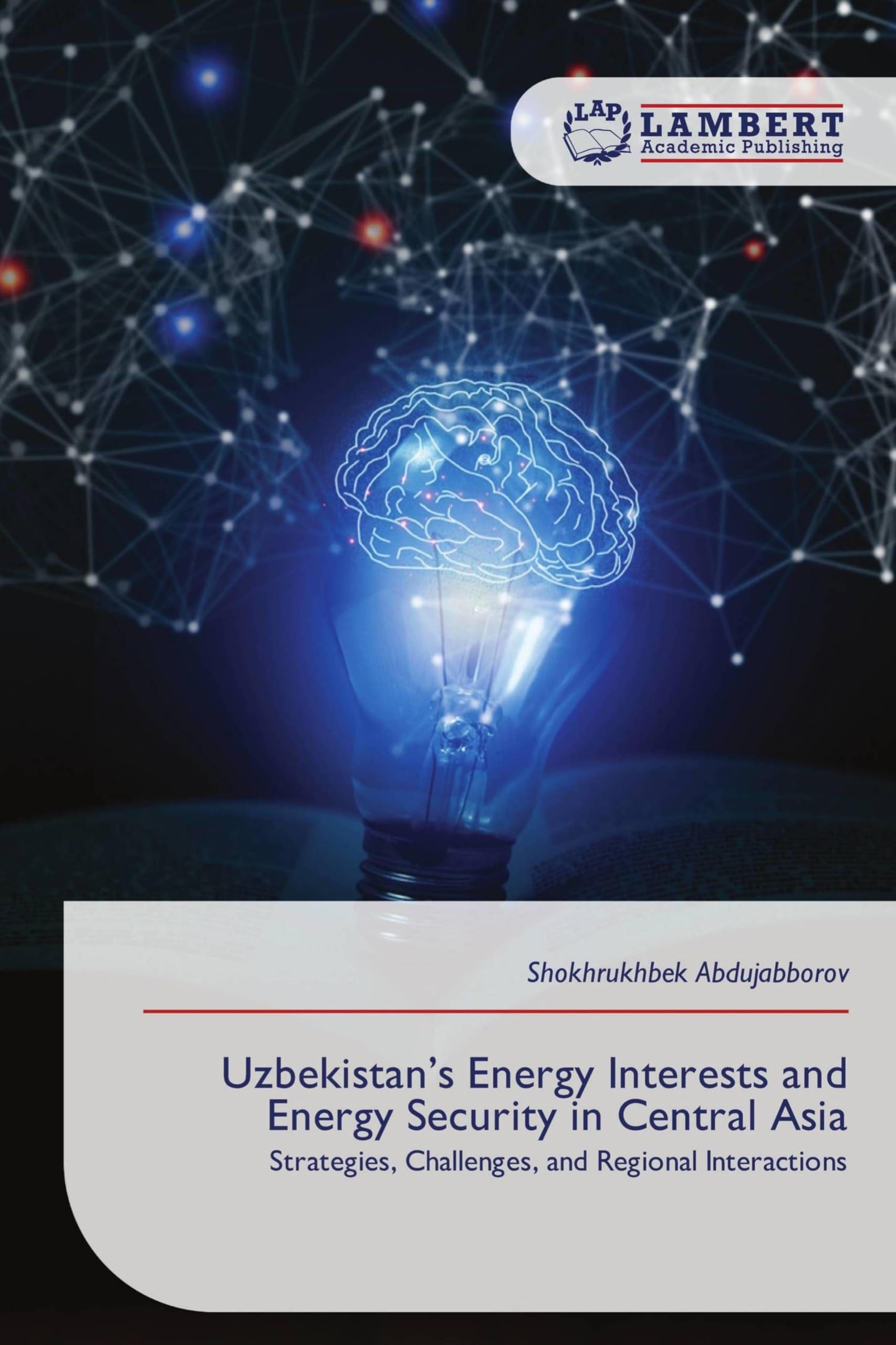 Uzbekistan's Energy Interests and Energy Security in Central Asia Law