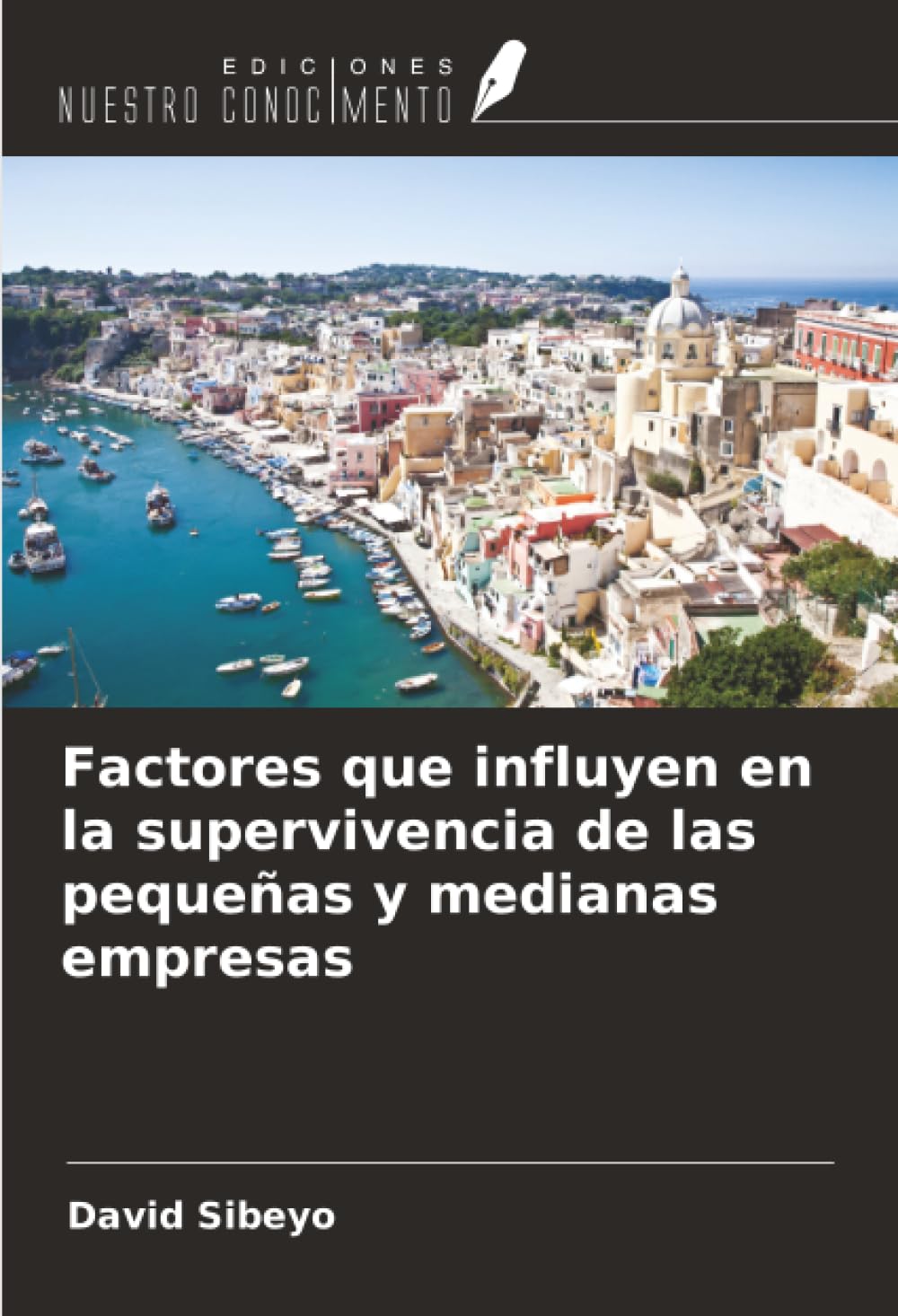 Factores que influyen en la supervivencia de las pequeñas y medianas empresas Law