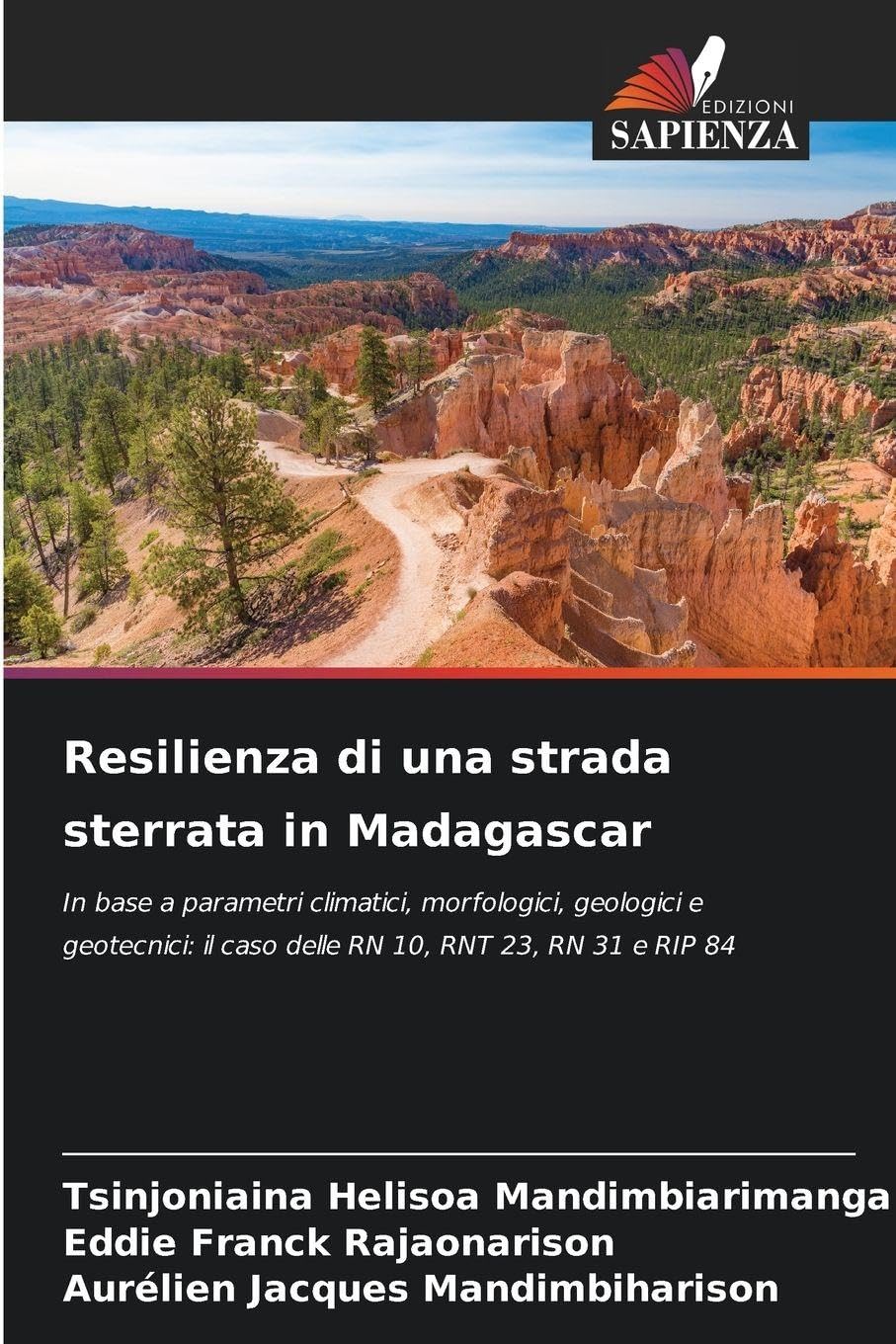 Resilienza di una strada sterrata in Madagascar Business & Technology