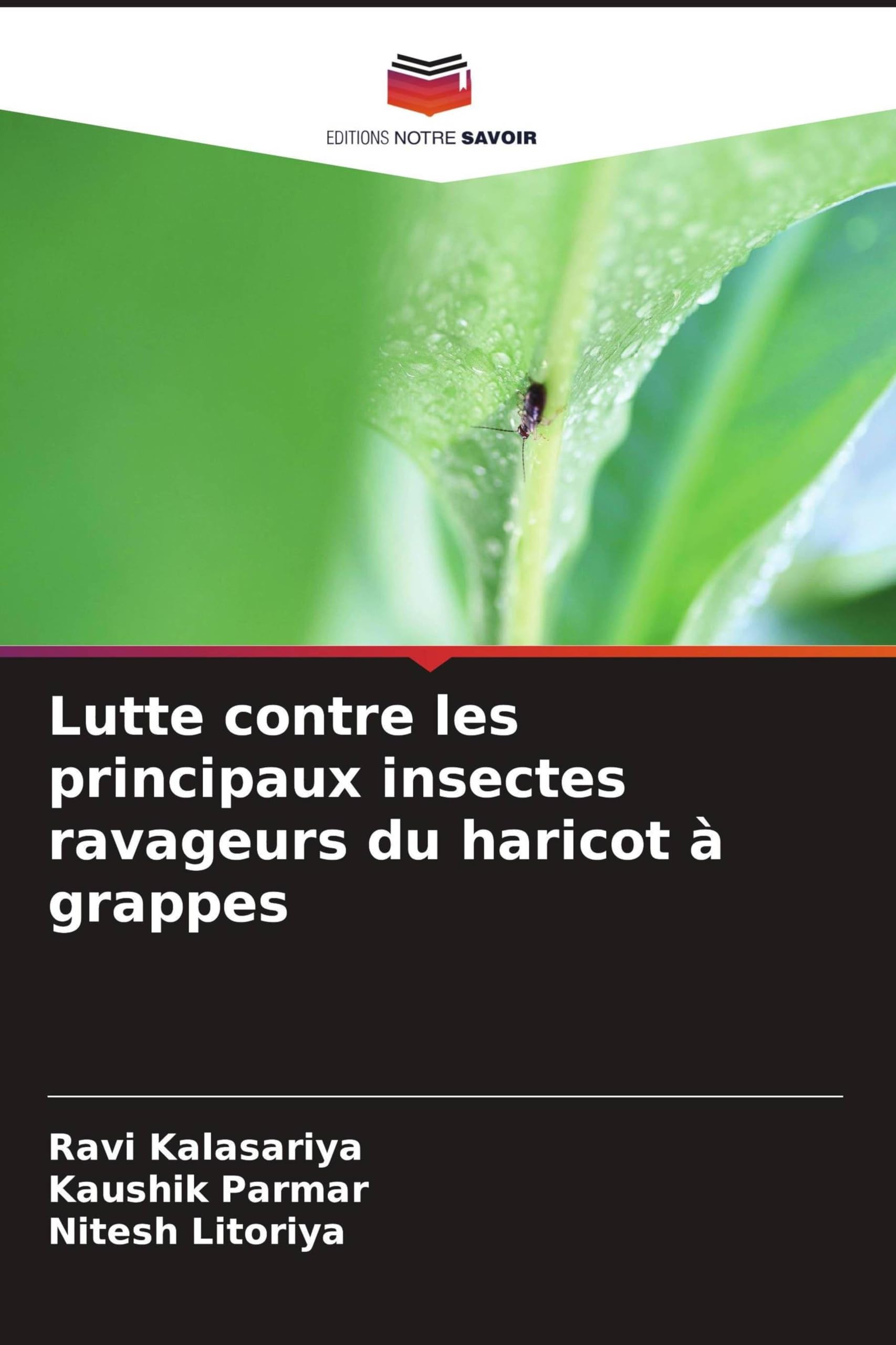 Lutte contre les principaux insectes ravageurs du haricot à grappes Natural Sciences