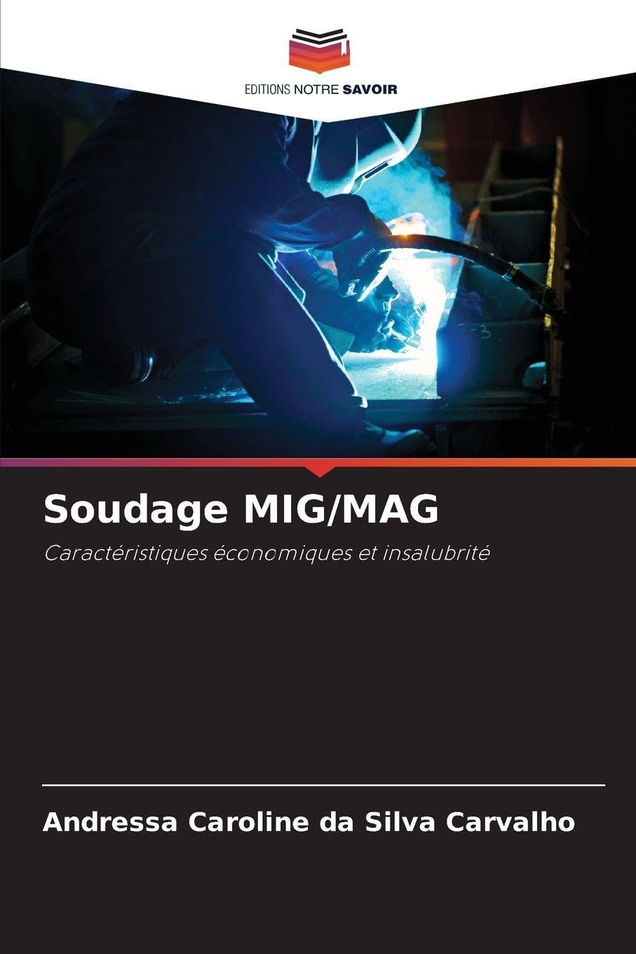 Soudage MIG/MAG Business & Technology