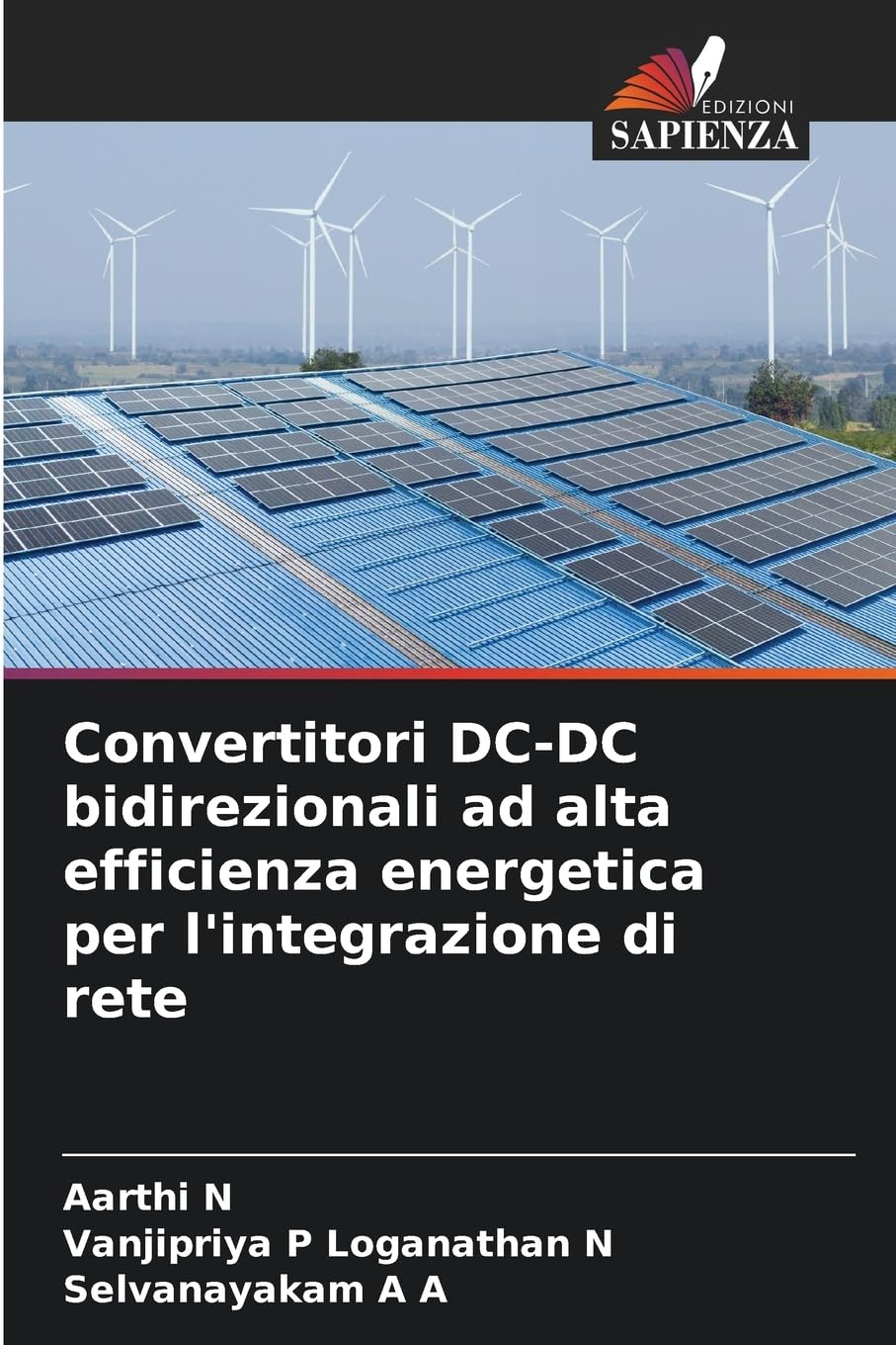 Convertitori DC-DC bidirezionali ad alta efficienza energetica per l'integrazione di rete Natural Sciences
