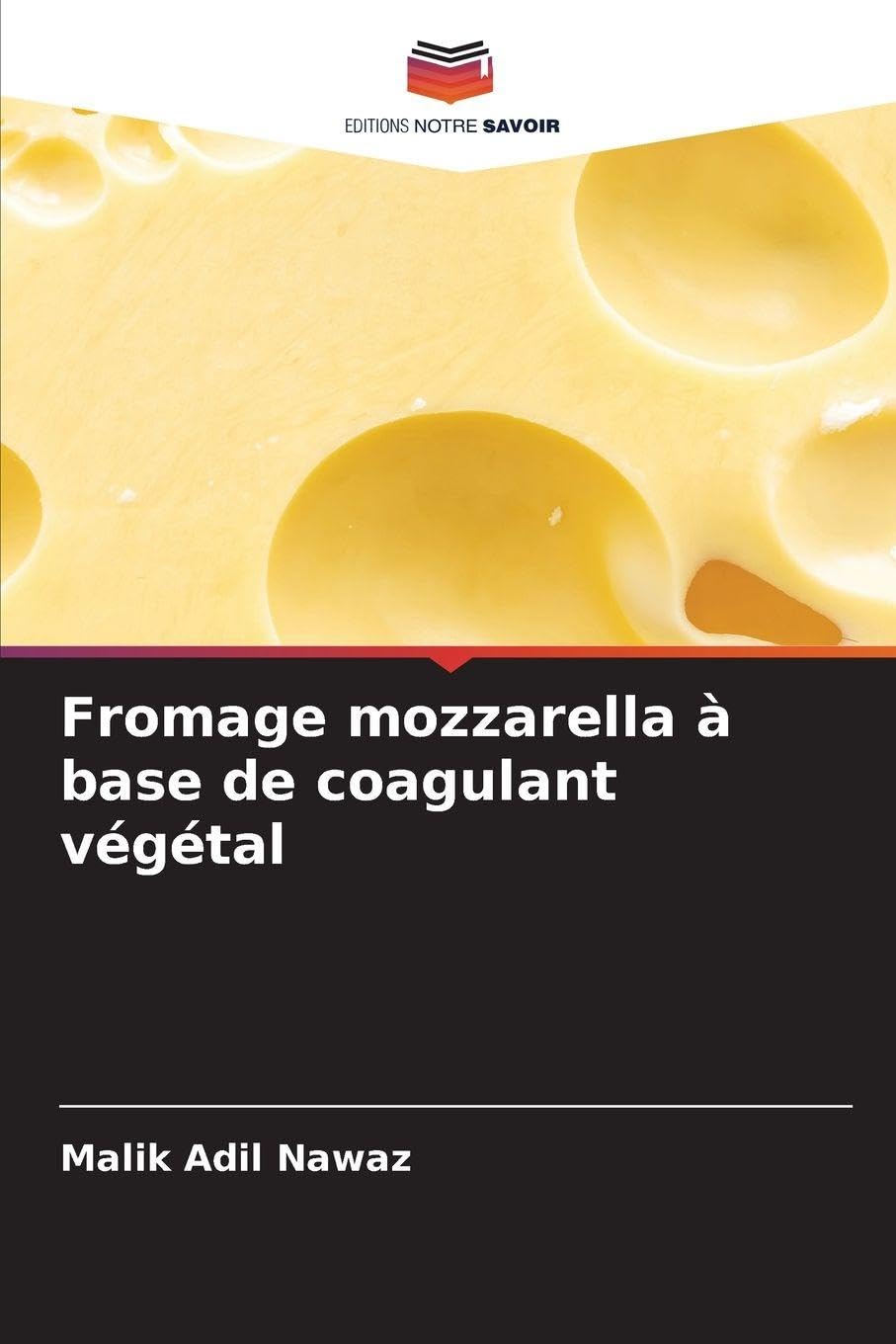 Fromage mozzarella à base de coagulant végétal Business & Technology