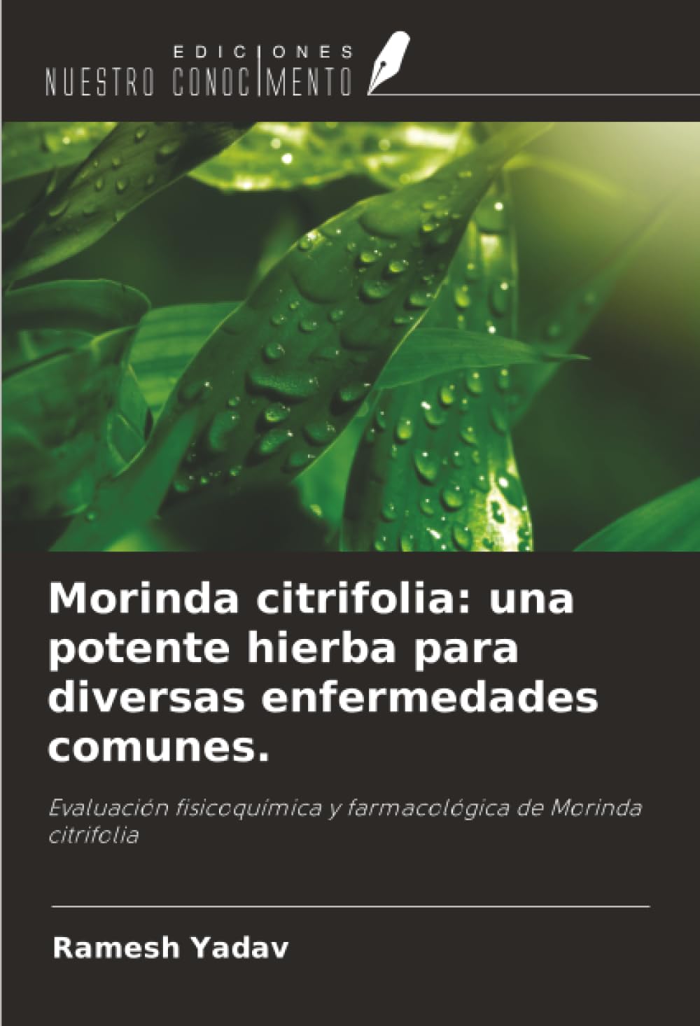 Morinda citrifolia: una potente hierba para diversas enfermedades comunes. Medicine