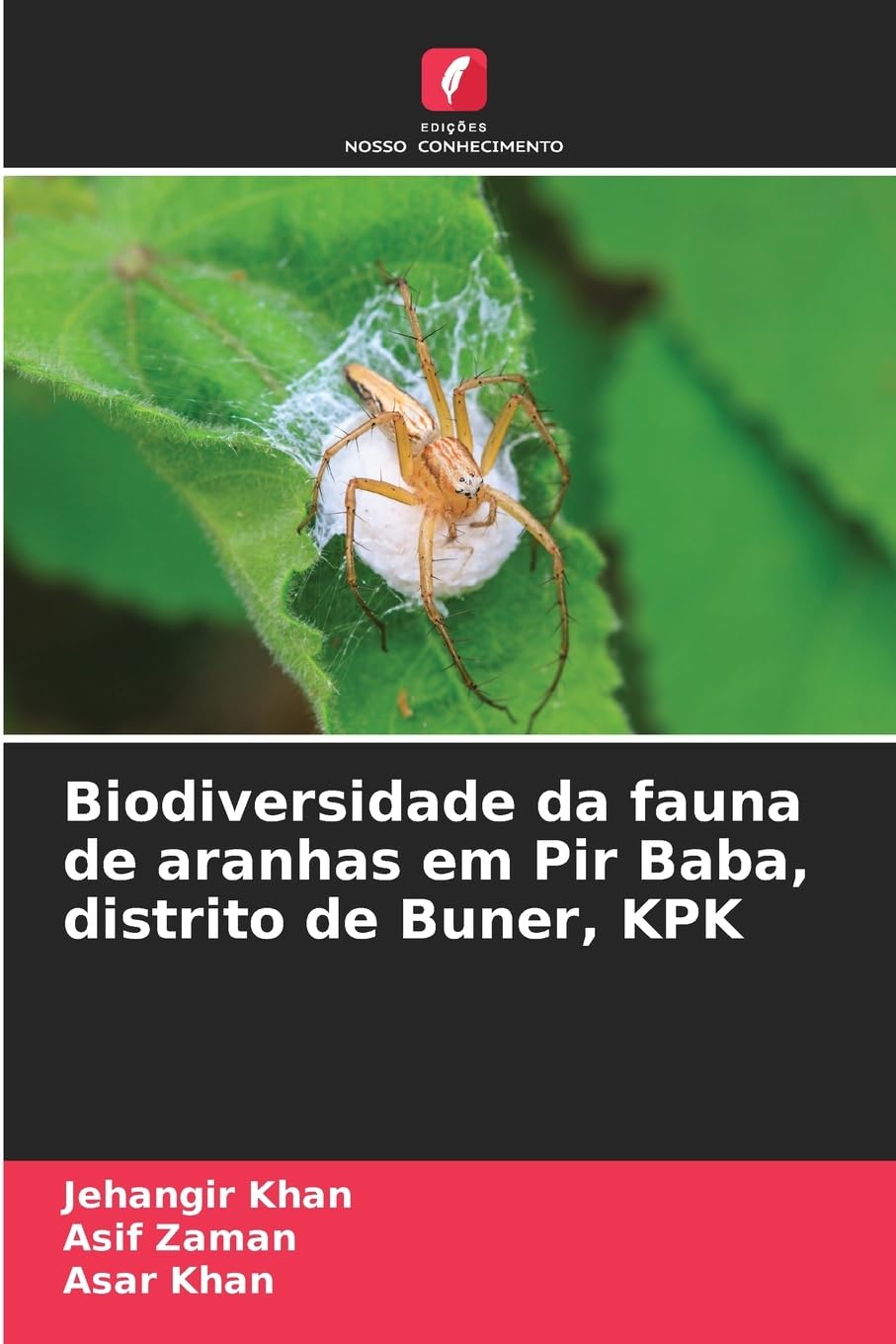 Biodiversidade da fauna de aranhas em Pir Baba, distrito de Buner, KPK Natural Sciences
