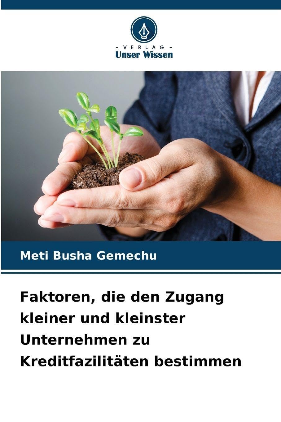 Faktoren, die den Zugang kleiner und kleinster Unternehmen zu Kreditfazilitäten bestimmen Law