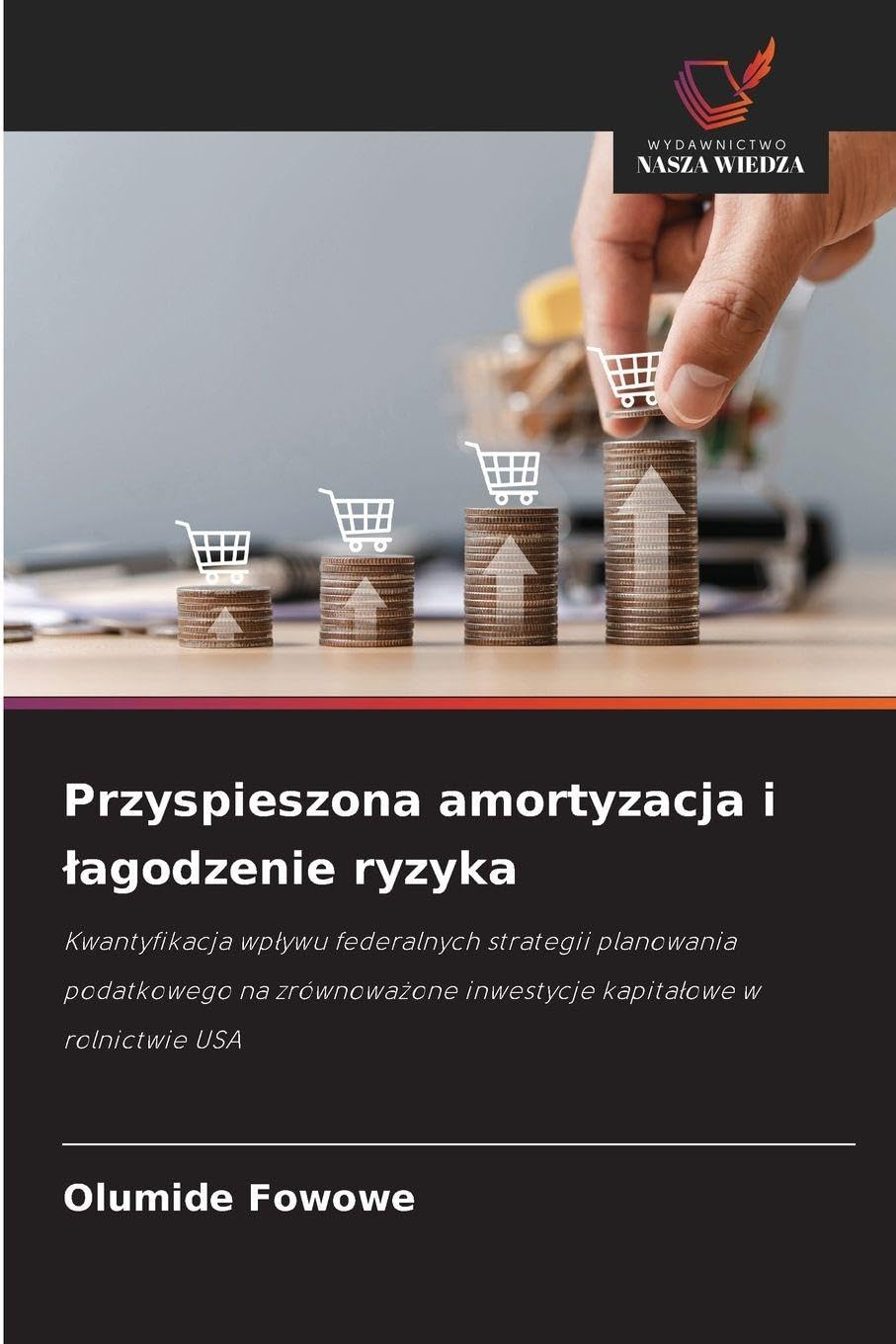 Przyspieszona amortyzacja i ¿agodzenie ryzyka Law