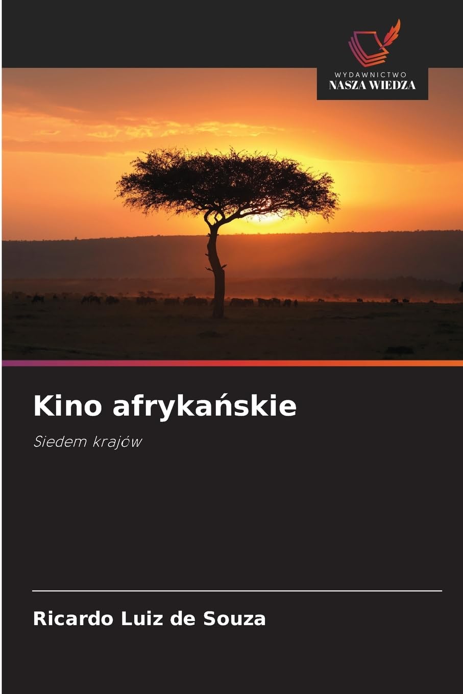 Kino afryka¿skie Film, Art & Culture