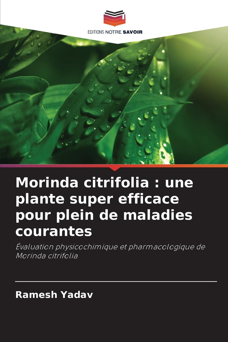 Morinda citrifolia : une plante super efficace pour plein de maladies courantes Medicine
