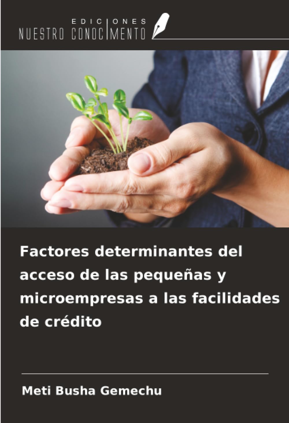 Factores determinantes del acceso de las pequeñas y microempresas a las facilidades de crédito Law
