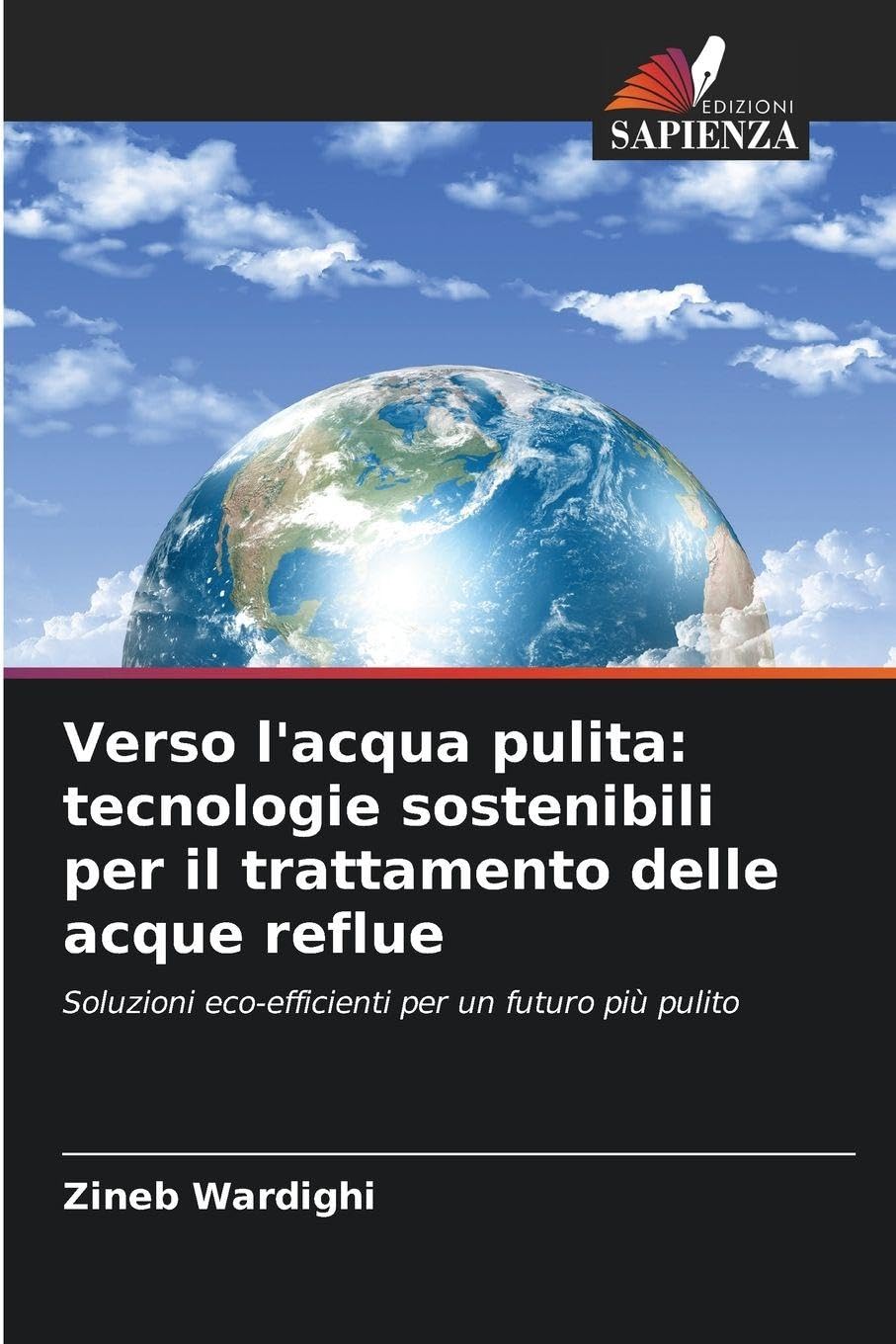 Verso l'acqua pulita: tecnologie sostenibili per il trattamento delle acque reflue Natural Sciences