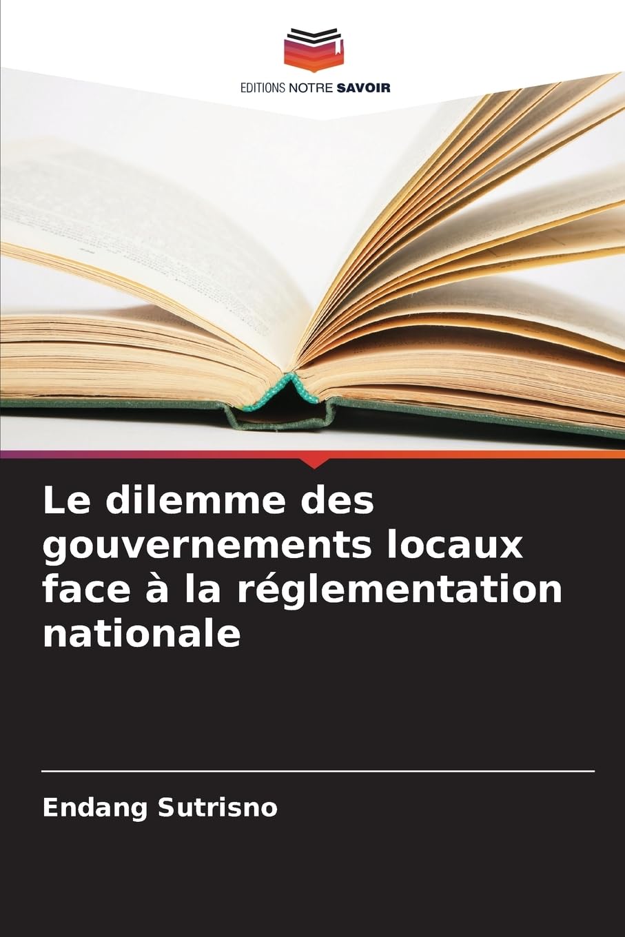 Le dilemme des gouvernements locaux face à la réglementation nationale Law