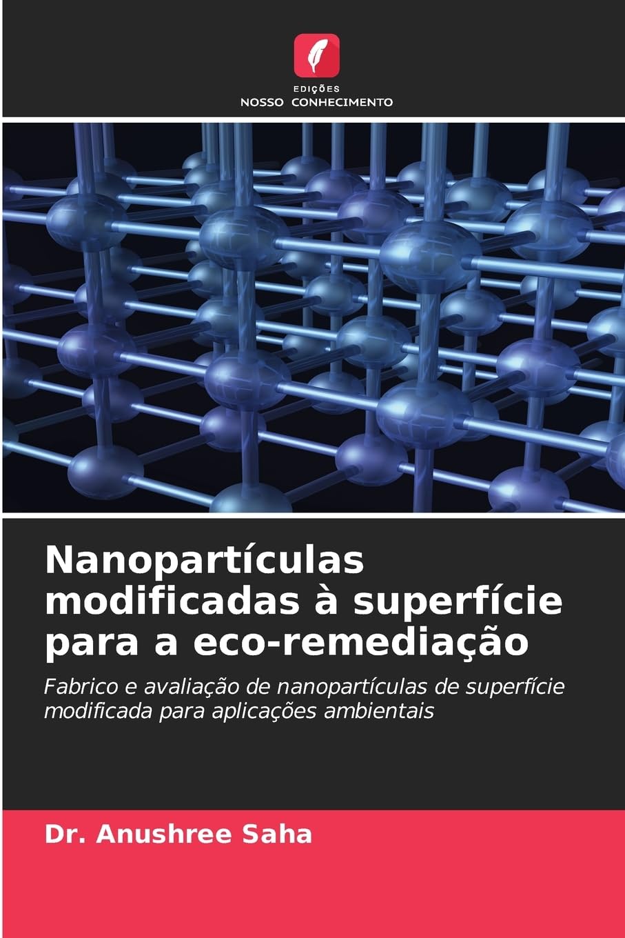 Nanopartículas modificadas à superfície para a eco-remediação Business & Technology