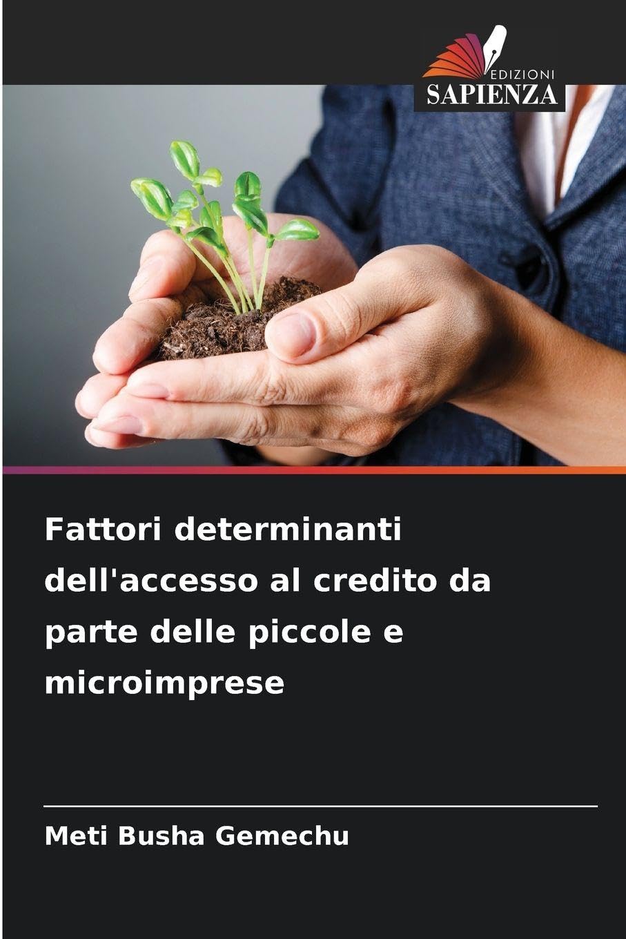 Fattori determinanti dell'accesso al credito da parte delle piccole e microimprese Law