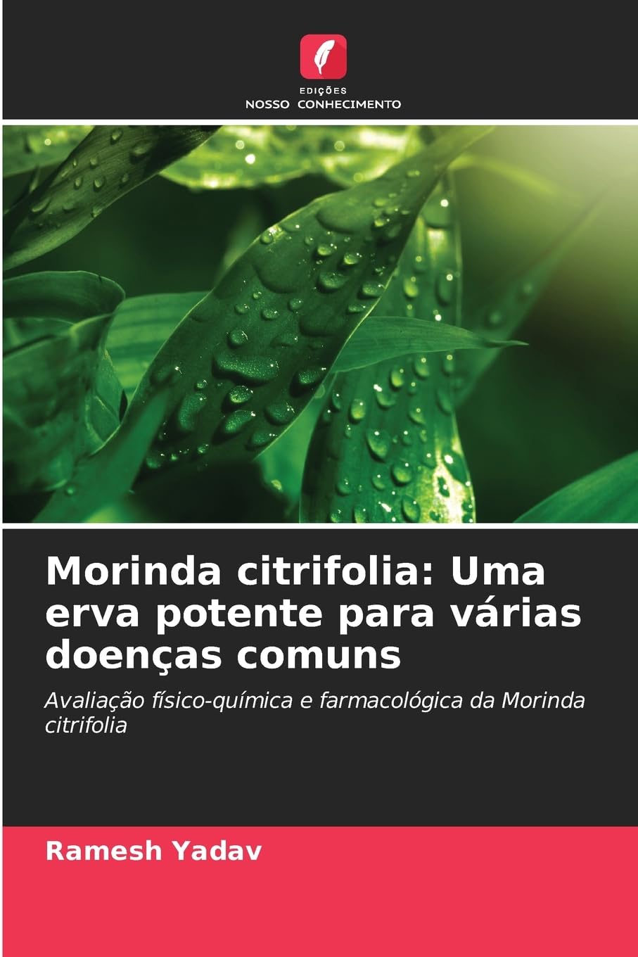 Morinda citrifolia: Uma erva potente para várias doenças comuns Medicine