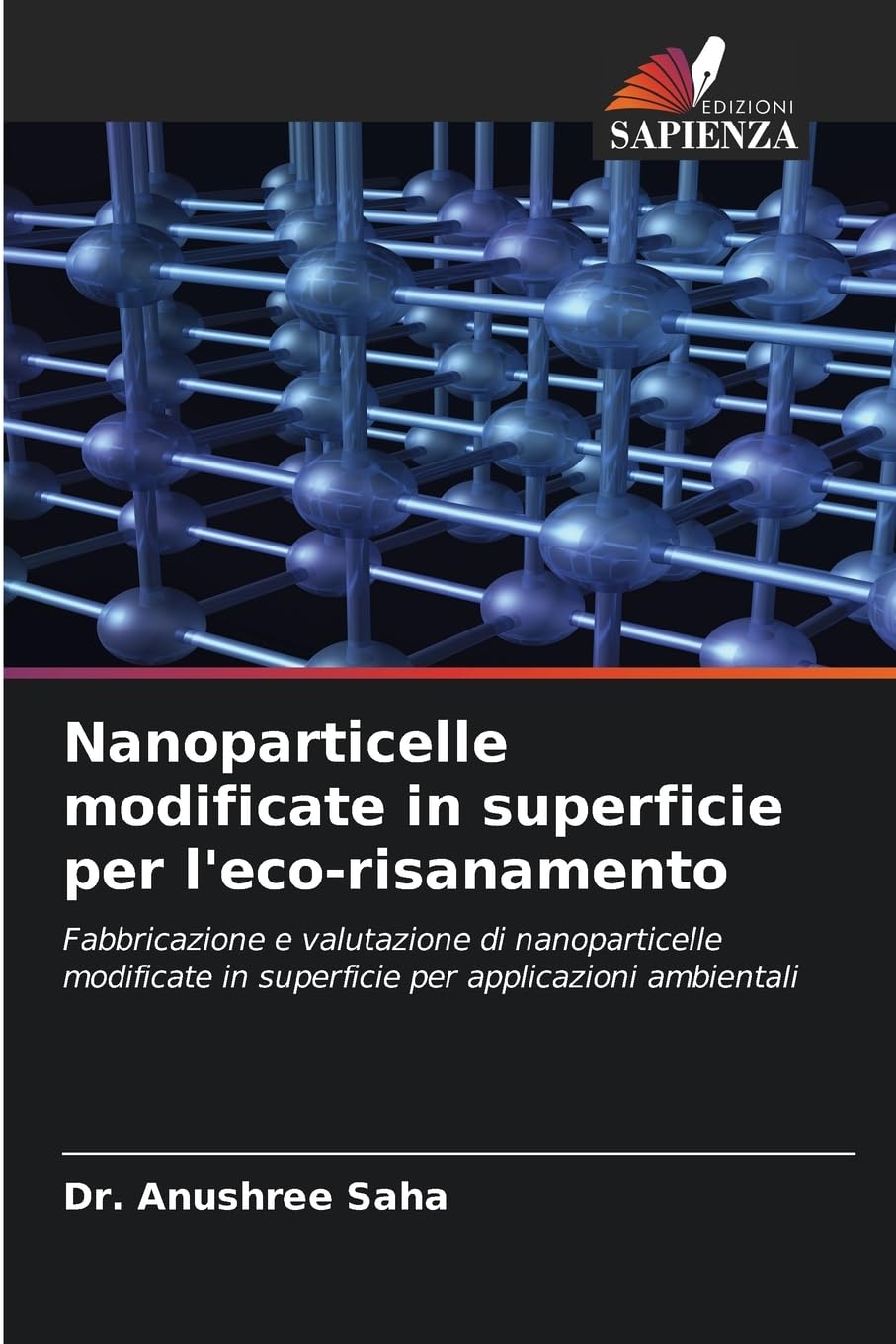 Nanoparticelle modificate in superficie per l'eco-risanamento Business & Technology