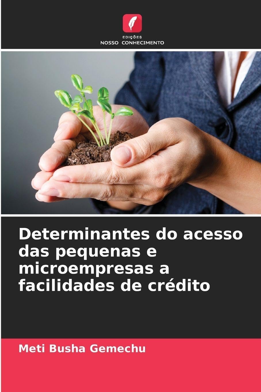 Determinantes do acesso das pequenas e microempresas a facilidades de crédito Law