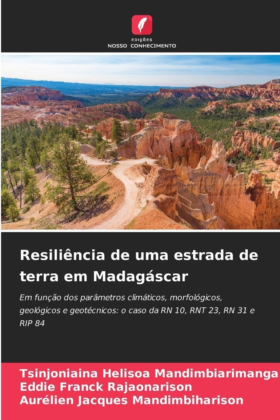 Resiliência de uma estrada de terra em Madagáscar Business & Technology