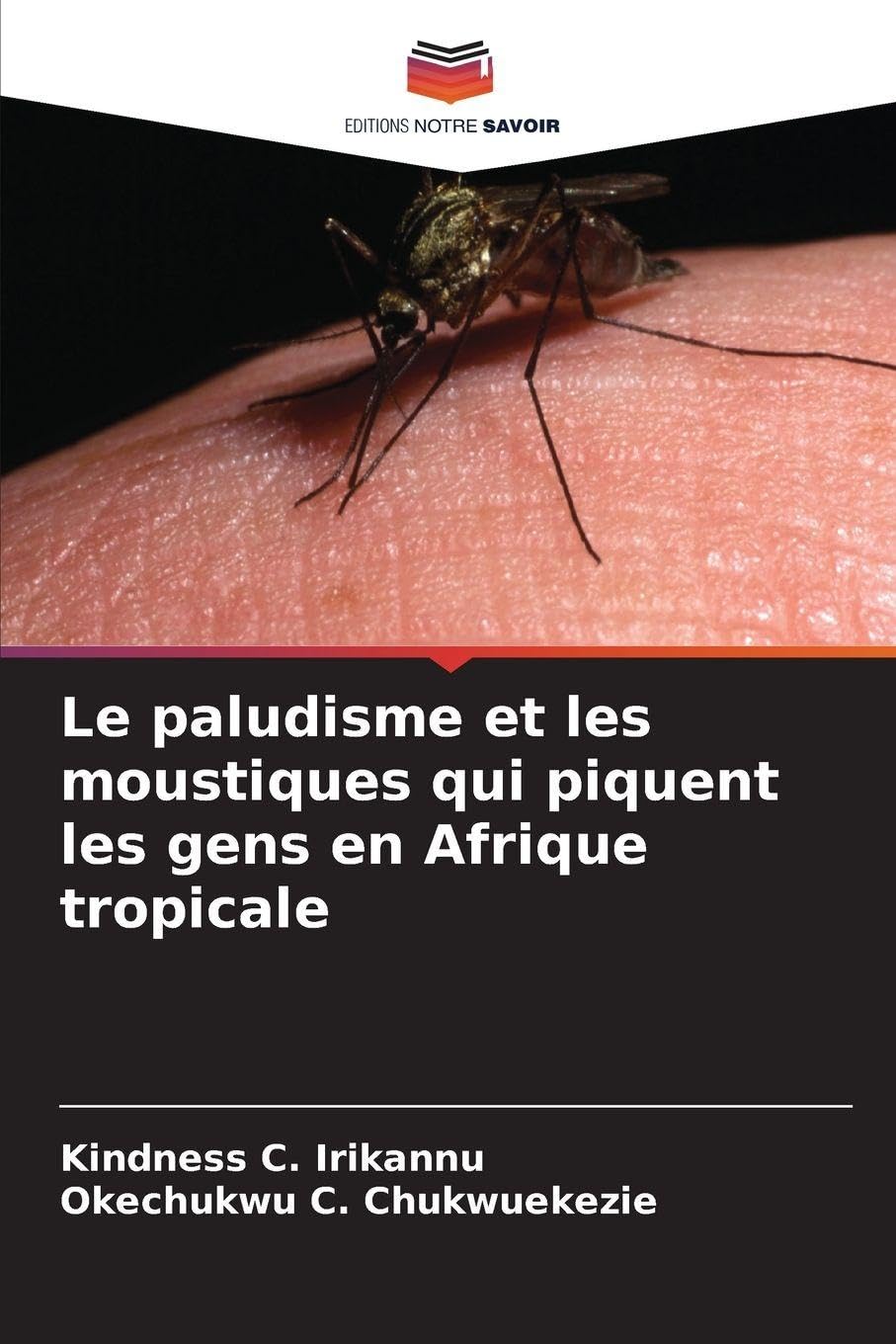 Le paludisme et les moustiques qui piquent les gens en Afrique tropicale Natural Sciences